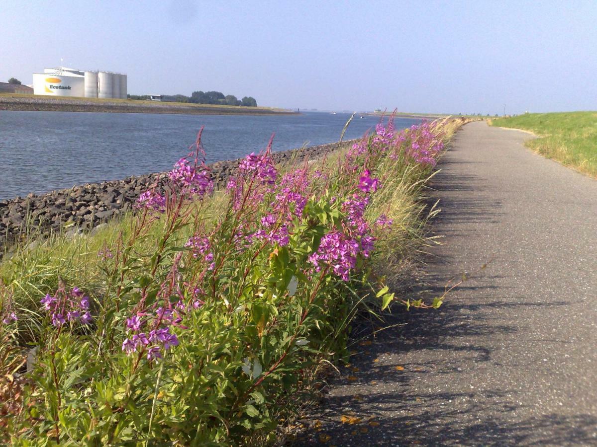 Middensluis Vakantiehuis Вемелдинге Экстерьер фото